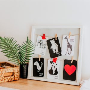 Kontrastné kartičky (2)