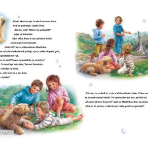 1795-8_martinka---kratke-pribehy-o-priatelstve