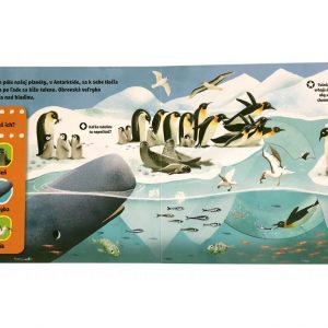 2185-6_prve-objavy--zvierata-v-zime