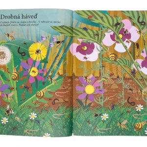 4083-4_hladaj-a-najdi---zvierata