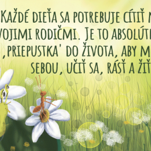 677e86_7ffaf210bce149f897e244b660f35c4b~mv2