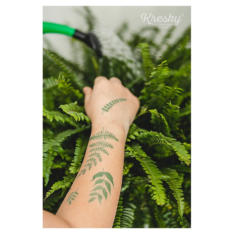 kresky-kapradomil-papradove (1)