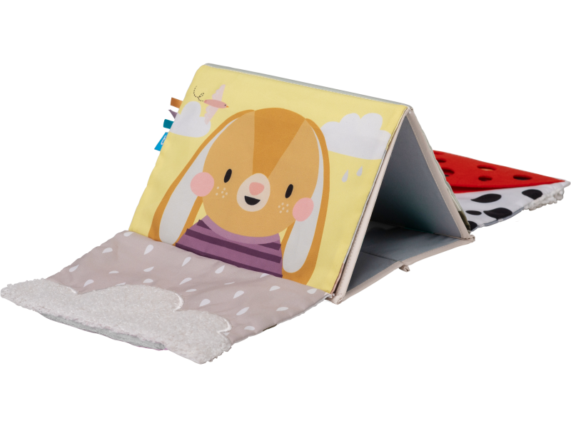 13455TAF-3